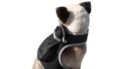 Rechargeable Mini GPS Realtime Pet Tracking Collars for Hunting Dogs Size:S