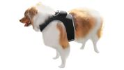 Rechargeable Mini GPS Realtime Pet Tracking Collars for Hunting Dogs Size:S