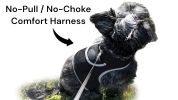 Rechargeable Mini GPS Realtime Pet Tracking Collars for Hunting Dogs Size:S