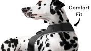 Portable Surveillance System GPS Pet Tracking Collars for Hunting Dogs Size:L