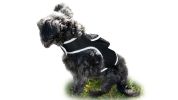 Easy to Use Mini Cell Phone GPS Pet Track Dog Cat Collar Mount Locator Size:M