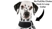 Get Realtime Pet Locations w/ Pet Tracker Mini Cat Dog GPS Tracking Collar Size:M