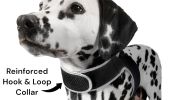 Portable Surveillance System GPS Pet Tracking Collars for Hunting Dogs Size:L