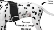 Portable Surveillance System GPS Pet Tracking Collars for Hunting Dogs Size:L