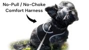 Portable Surveillance System GPS Pet Tracking Collars for Hunting Dogs Size:L
