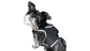 Easy to Use Mini Cell Phone GPS Pet Track Dog Cat Collar Mount Locator Size:M