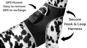 Rechargeable Mini GPS Realtime Pet Tracking Collars for Hunting Dogs Size:S
