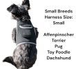 Detailed & Realtime GPS Tracking Dog Collar Water Resilient Gadget Rechargeable Size:L